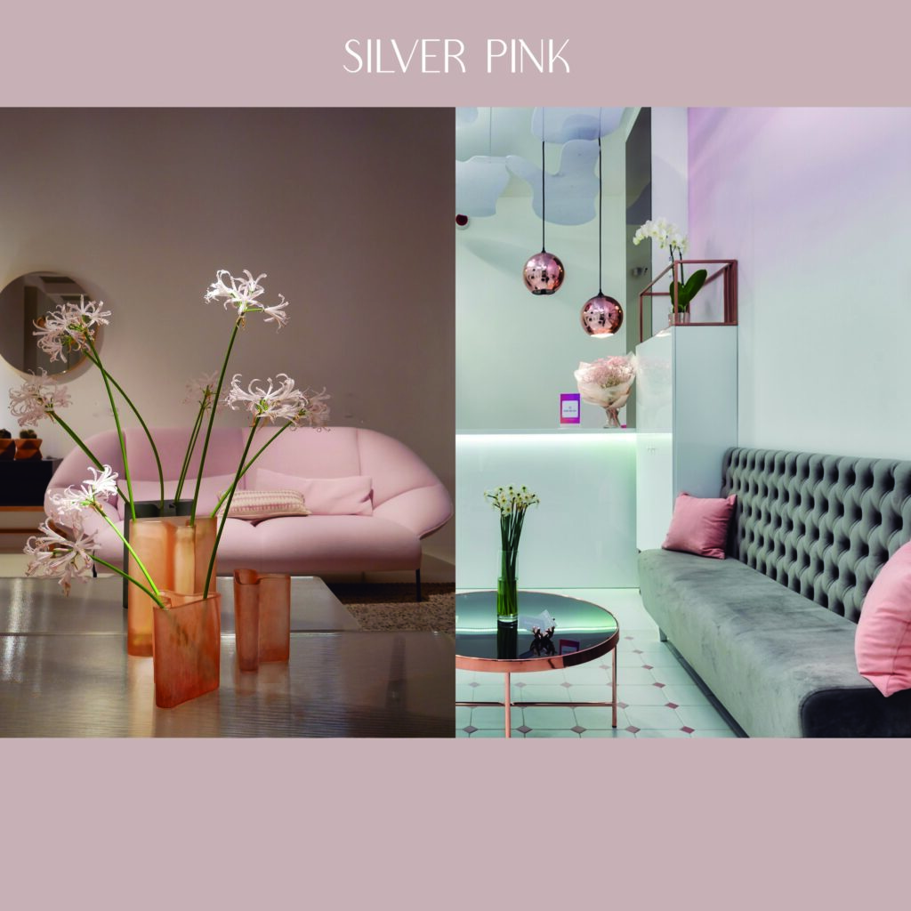 silver pink tapicería